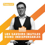 "Les savoirs inutiles donc indispensables" : La République de Minerva